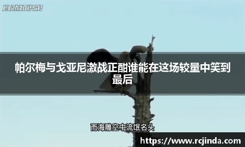 帕尔梅与戈亚尼激战正酣谁能在这场较量中笑到最后